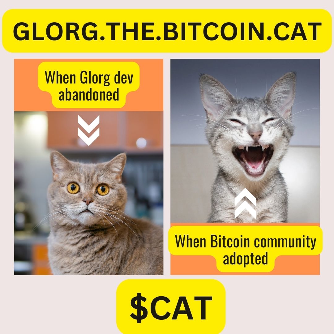 Bitcoin $CAT tweet media