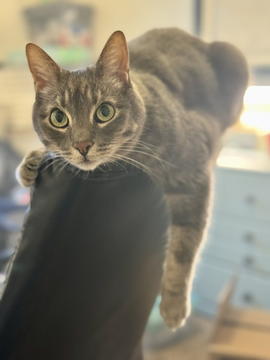 IMPORTANT:

Look at my handsome son 💕
