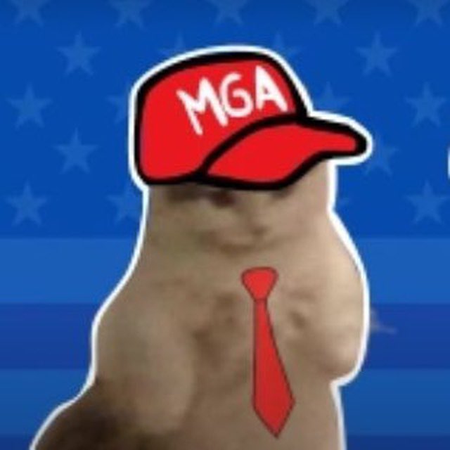 THAT BASED DUDE $KICHI tweet media