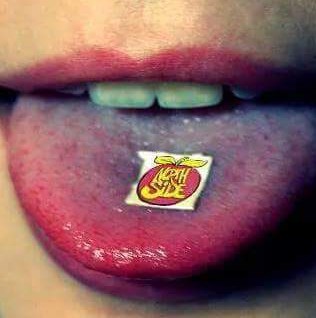 Shall We??