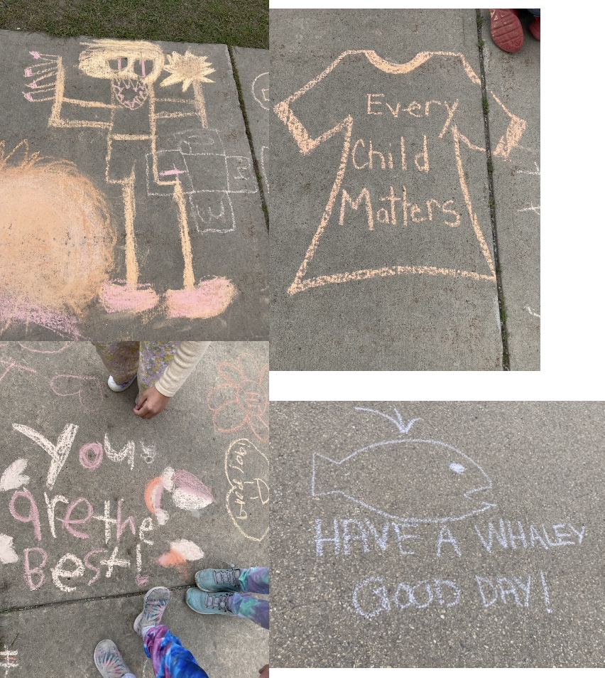 Rainbow Creek tweet media