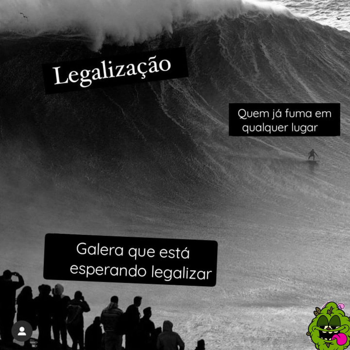 Chapei Oficial (@chapei_4i20) on Twitter photo 