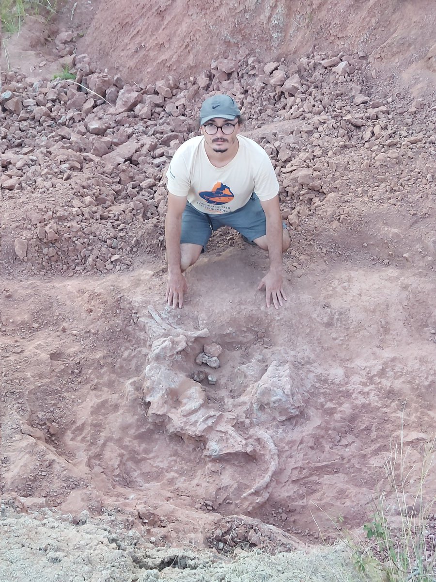 For this #fossilfriday, I'd say I miss doing field work with <a href="/FeliPinheir/">Felipe Pinheiro</a> <a href="/voltairearts/">Voltaire Paes Neto</a> <a href="/juliarssouza/">Jujuba🍬🍬</a> and <a href="/ariellifm/">Arielli F Machado</a>.
