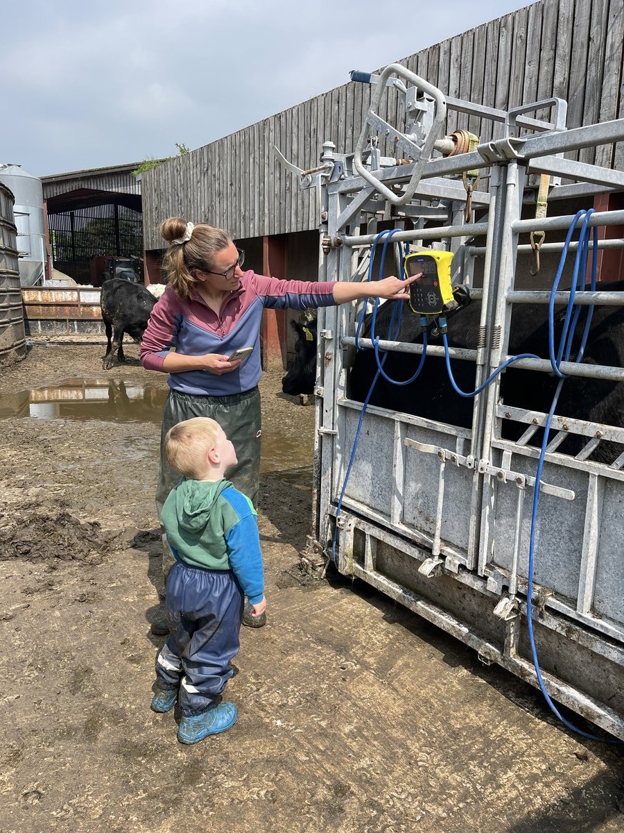 Matthew Blair tweet media