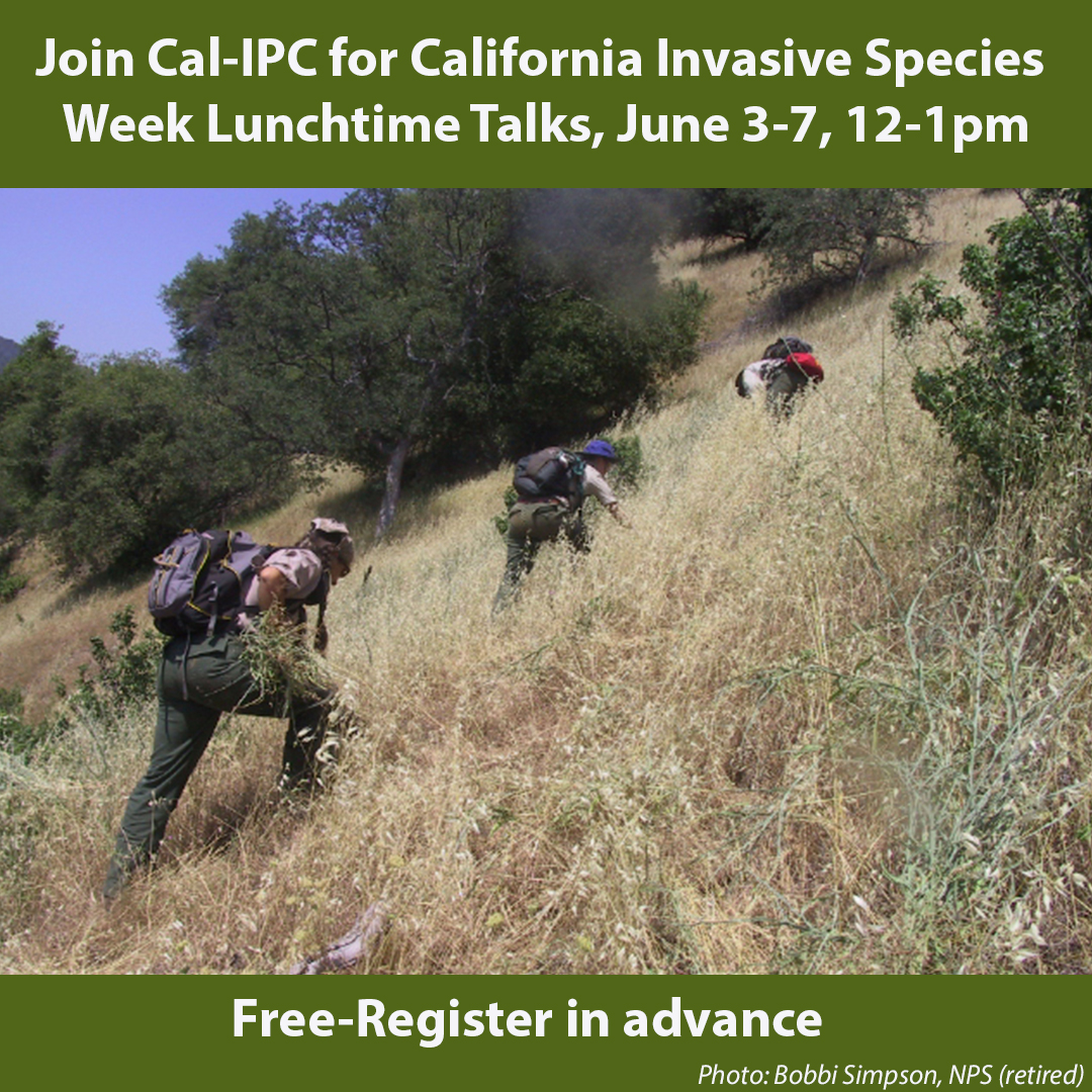 Join Cal-IPC for California Invasive Species Week Lunchtime Talks, June 3-7. All webinars 12-1pm. Learn from experts across the state. Free! Register in advance: ucanr.edu/sites/invasive…

#invasiveplants #protectcalifornia #feralcat #IPM #invasivespecies