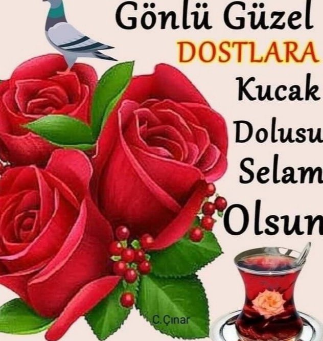 Güzel Bir Hafta Sonu Dileğimle Hayırlı Geceler🌼🌼🌿🌺🌿 @Bedriyeyazar @nesibe_tukel @bilgikalem571 @1Nur_kudret @huysuz_Cadi_ @teslimekoroglu @AbhazSrlmz @CerenYosun @beria_selda