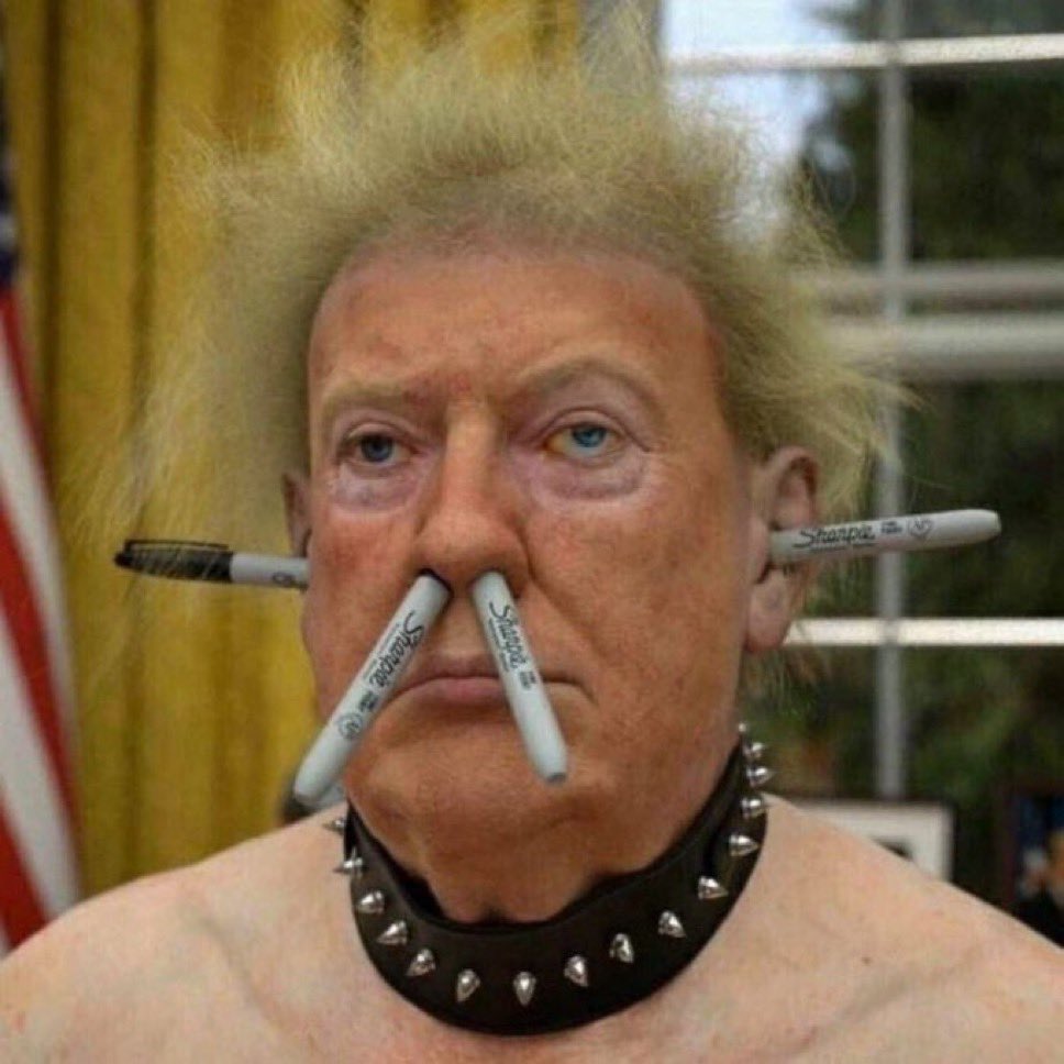 MoneywhoreTrump's tweet photo. Suck that mushroom 🍄‍🟫 dick @CNN #MAGACNN

Yeah suck it good … you cheap little money whores 

Why not just show a porno of @kaitlancollins &amp; @abbydphillip &amp; @ErinBurnett @brikeilarcnn @wolfblitzer @jaketapper in a gang bang w/ DON mushroom 🍄‍🟫 penis #OrangeJesus https://t.co/H0dICgavCQ