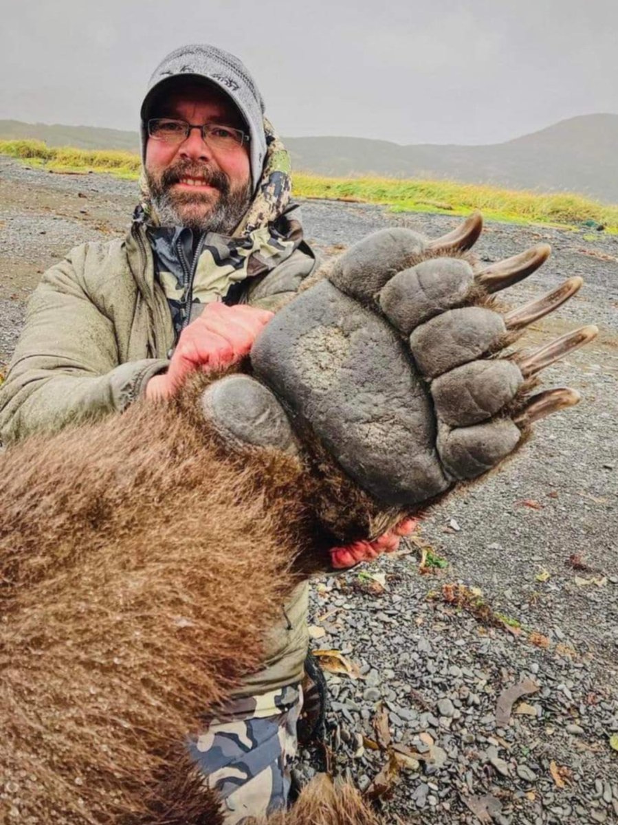 The size of a Grizzly Bear paw.!