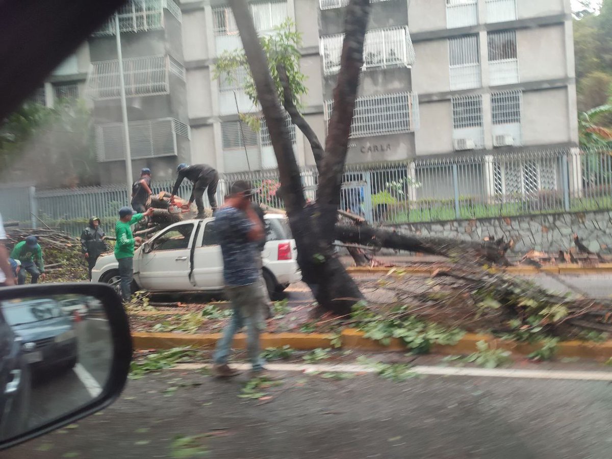 #31May ¡PRECAUCIÓN EN LA ZONA! 🚧 En la urbanización Caurimare del Municipio Baruta, #Caracas, un árbol cayó sobre vehículo liviano que se encontraba en marcha. Reportan lesionados, hasta el momento se desconocen mayores detalles. 📸 Cortesía