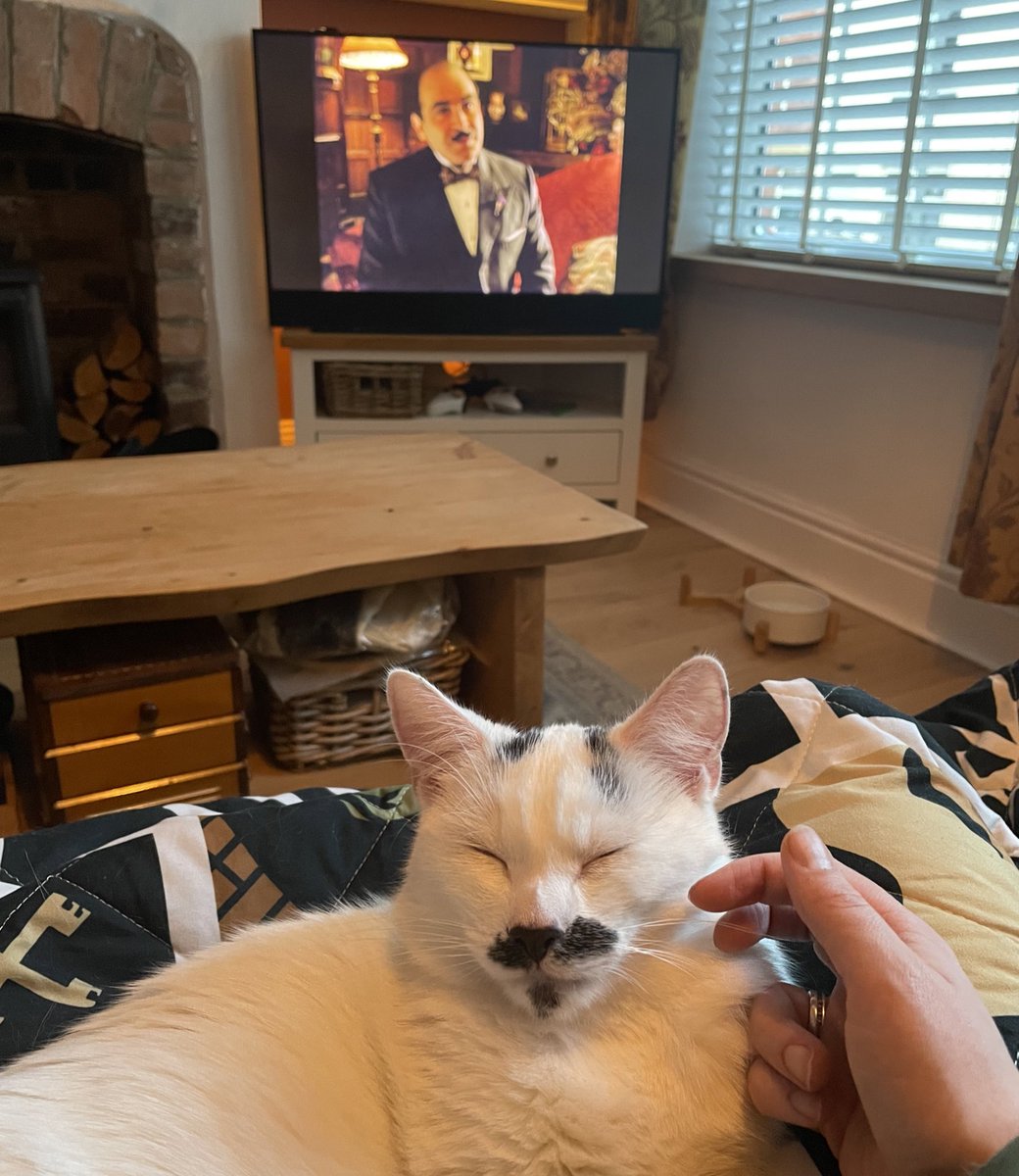 hercule poirot 

+

hercule purrot