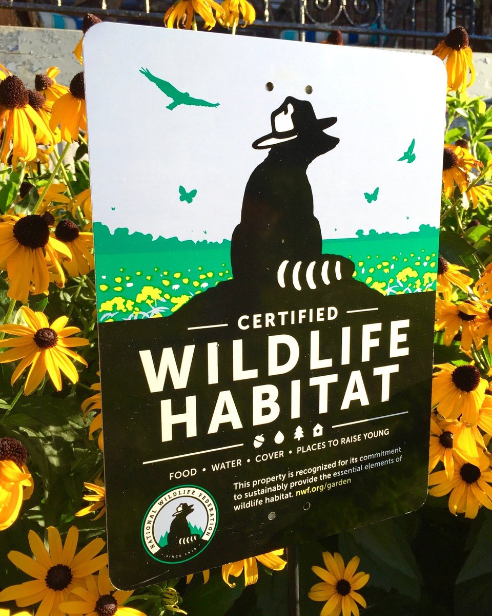 LAST CHANCE TO CERTIFY & SAVE: turn your yard, container garden, school, or roadside greenspace into a @NWFCertified Wildlife Habitat®! Use code GARDEN20 to take 20% when you certify & purchase a sign: hubs.la/Q02z7kN20