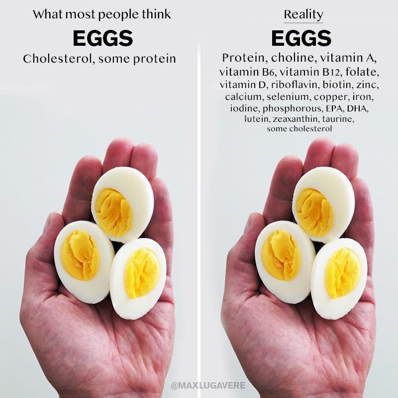 In a new study published in the Journal of Nutrition, eating 1 or more eggs per week led to ~50% lower risk for Alzheimer’s disease among older adults.

Eggs are the top source of choline (after beef liver), which the researchers believe played a role in protecting brain health.