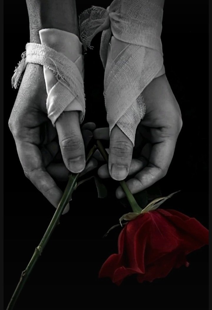 "گلبرگ‌ها یکی‌یکی جدا شدند و در اعماق سیاهی فرو رفتند. دیدن آن صحنه به‌قدری برای مومو دردناک بود که انگار چیزی دست‌نیافتنی را برای همیشه از دست داده بود."