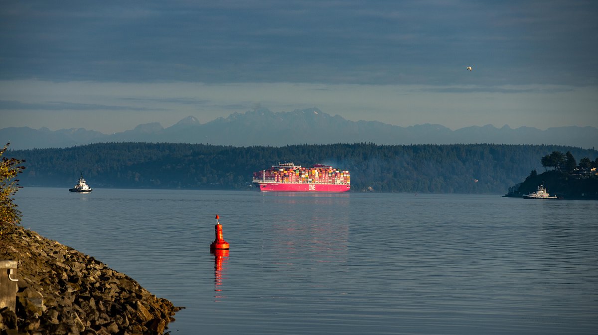 This week's #FoundONE 📸🥇comes from #ONE of our own who spotted the ONE Parana from the shore.

Magenta Majesty against the mountain range 🚢⛰️

#OceanNetworkExpress #ContainerShipping #MagentaNotPink #AsONEWeCan #photography #ShipSpotting #ShipSpotter