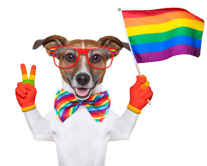 Fagdogssol's tweet photo. HAPPY FAG DOGS DAY
$FAG https://t.co/0pvmqQECk1