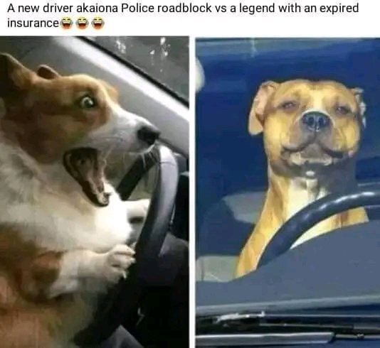 Mbeva (@mbeva32) on Twitter photo 