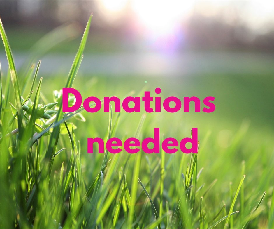 Help us grow our community garden! 🌼🌿 We're looking for donations for our new garden space. Do you have: Wheelchair height planter Compost bin Multi-purpose compost bags Bench Rainwater butt Seeds Get in touch at enquiries@beaconvision.org or call 01902 880 111 to help.