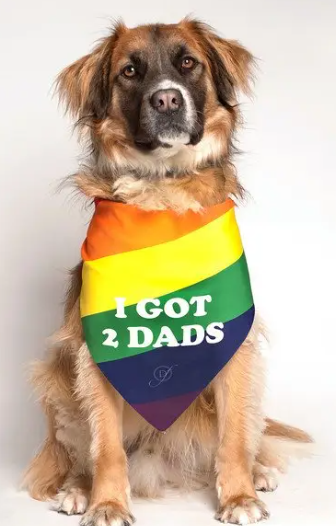 Fagdogssol's tweet photo. Im not lying.
$FAG https://t.co/9PsvBJbAqz