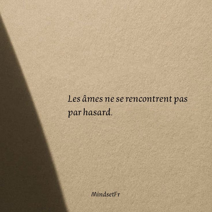 Mindset_FR's tweet image. 🖇️