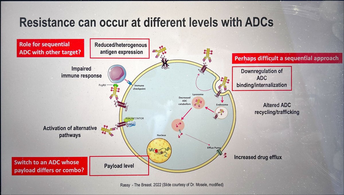 JordiRemon's tweet photo. ICARUS-Lung Datopotomab deruxtecan in heavily pretreatred pts with NSCLC: RR 28% PFS 3.6 OS 11.9. Single arm!. Biomarker:Trop2 + >100
Exploring mec of resistance may elucidate if sequential ADCs are feasible 
Are resistance mec indeprndent of tumor. Type? #ASCO24 @dplanchard https://t.co/2KFRqBGtQY