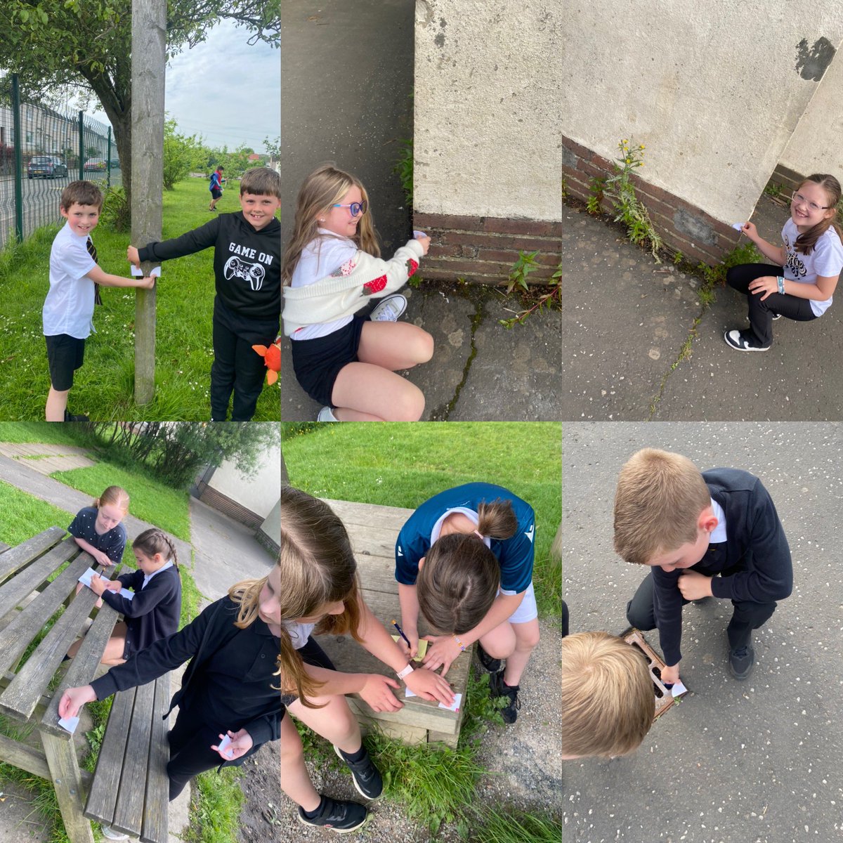 Mrs Bonham tweet media