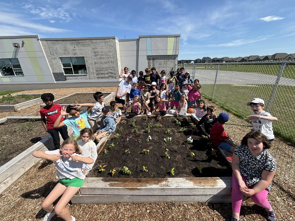 MrsHignell's tweet photo. We care for God’s creation. There was a lot of science, math and collaboration as our classes weeded and planted in our garden bed. Thank you to those families who made donations so that we could have this experience. @MissSibbald @BernadetteOCSB https://t.co/zPsrhW5lrf
