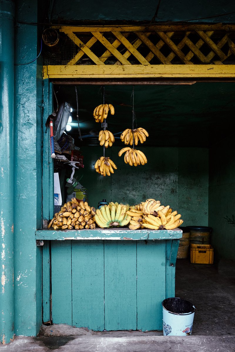 Low-hanging Fruit #streetphotography #streetphotographers #lensculturestreets #streetphotographer #thestreetphotographyhub #beststreets #documentaryphotography #documentaryphotographer #filmsimulation #kodachrome64 #Kodachrome #cebu #capturedmoments #streetphotographerscommunity