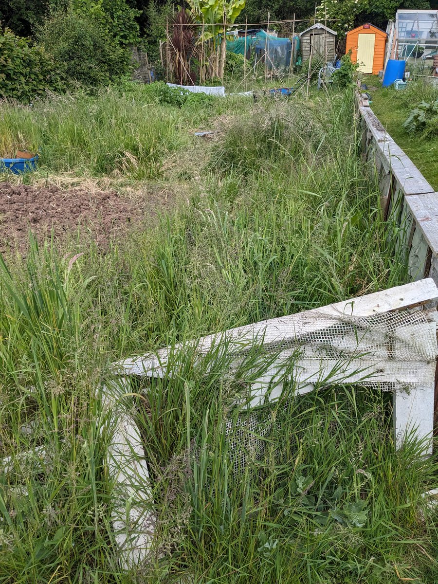 Cardiff_valeCP's tweet photo. Cardiff and the Vale of Glamorgan Community Payback Team helping restore an allotment plot for those who physically unable to maintain thier plots . The restoration brought  joyful tears to the eyes of those they helped and the POPs were full of pride to bring joy to others. https://t.co/385EC3fl1f