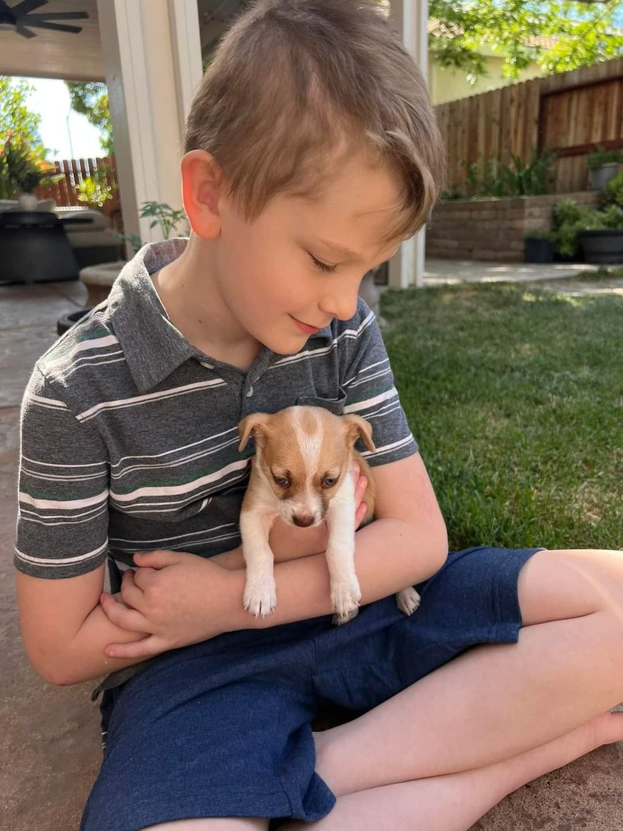 #LifeInTheFosterhood Getting the kids involved in fostering is key to building compassionate individuals. PAWlease supPAWt our mission by visiting ItsieBitsieRescue.org #savinglives #puppies #ittakesavillage #fosters2022 #gratitude #fbf