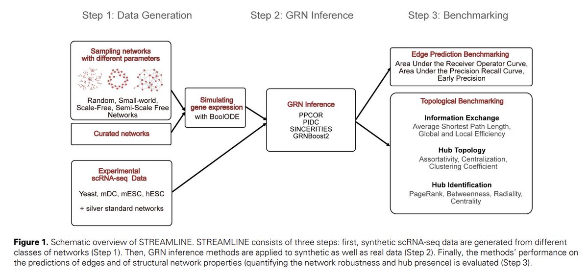 BioDecoded's tweet image. Topological benchmarking of algorithms to infer Gene Regulatory Networks from Single-Cell RNA-seq Data
academic.oup.com/bioinformatics…

#Bioinformatics