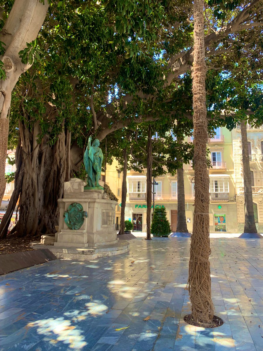 Tom Roberts tweet media