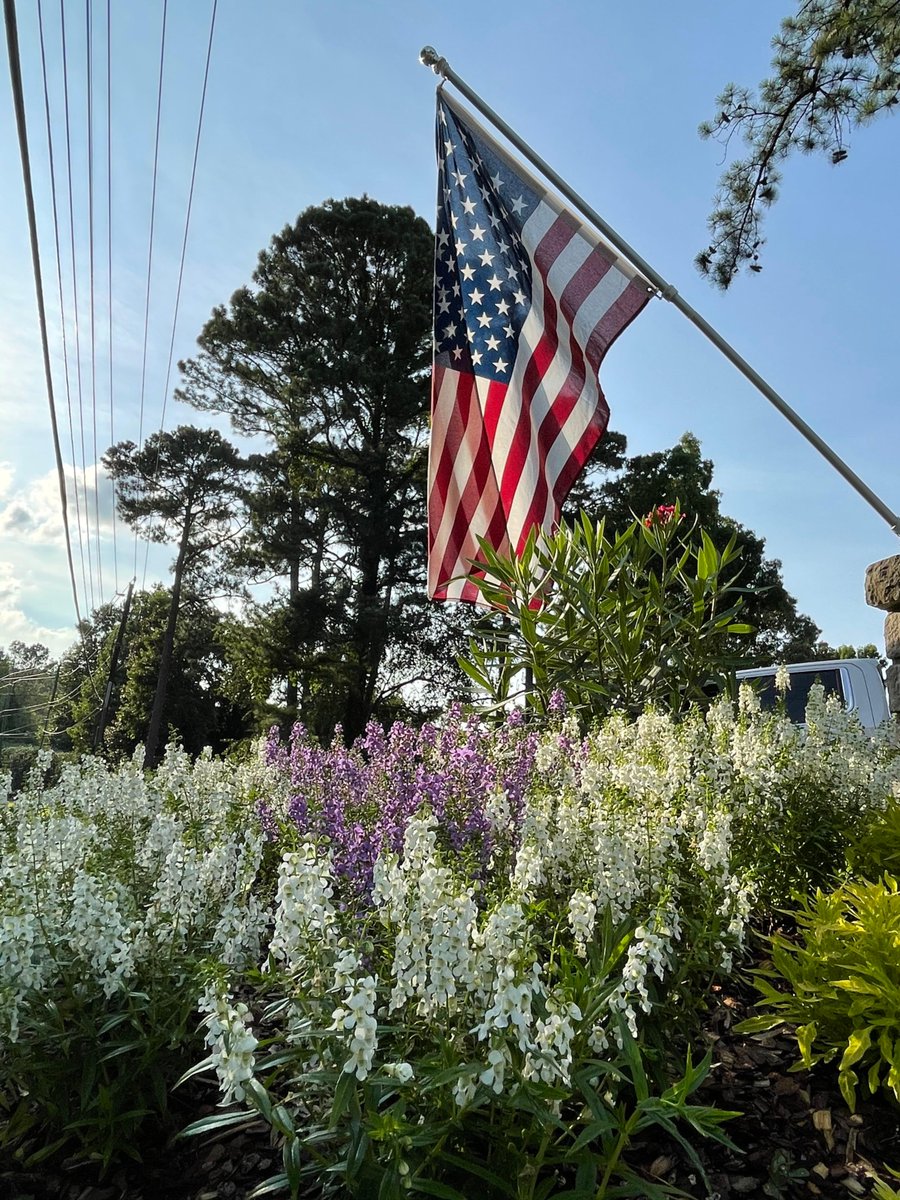 Memorial Day reminds us of the importance of peace, reflection, and connection to the land. Gardens are a space for all three, offering solace and a tangible link to the cycle of life and renewal🕊️🌺 #GardenSanctuary #ecosystem #ediblelandscaping #forestgarden