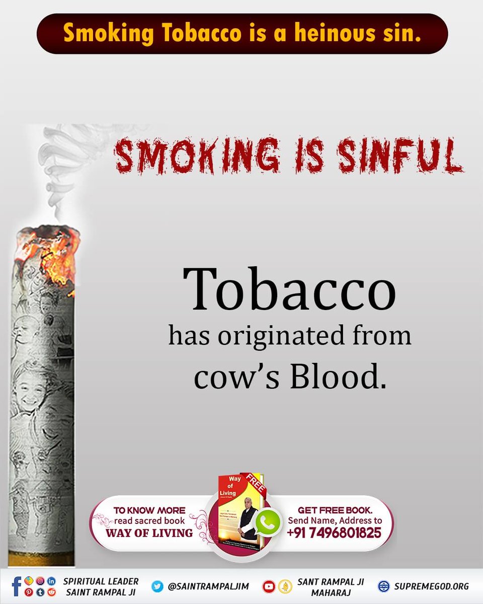 #सबपापोंमें_प्रमुख_पाप_तंबाखू
Smoking Tobacco is a heinous sin
SMOKING IS SINFUL
Sant Garibdas Ji has stated: -
Tamaa + Khoo= Tamaakhhoo
Khoo naam khoon ka Tamaa naam gay |
sau baar saugandh isko na peeye-khaay ||
Tobacco has originated from cow's Blood.
#GpdMorningSaturday