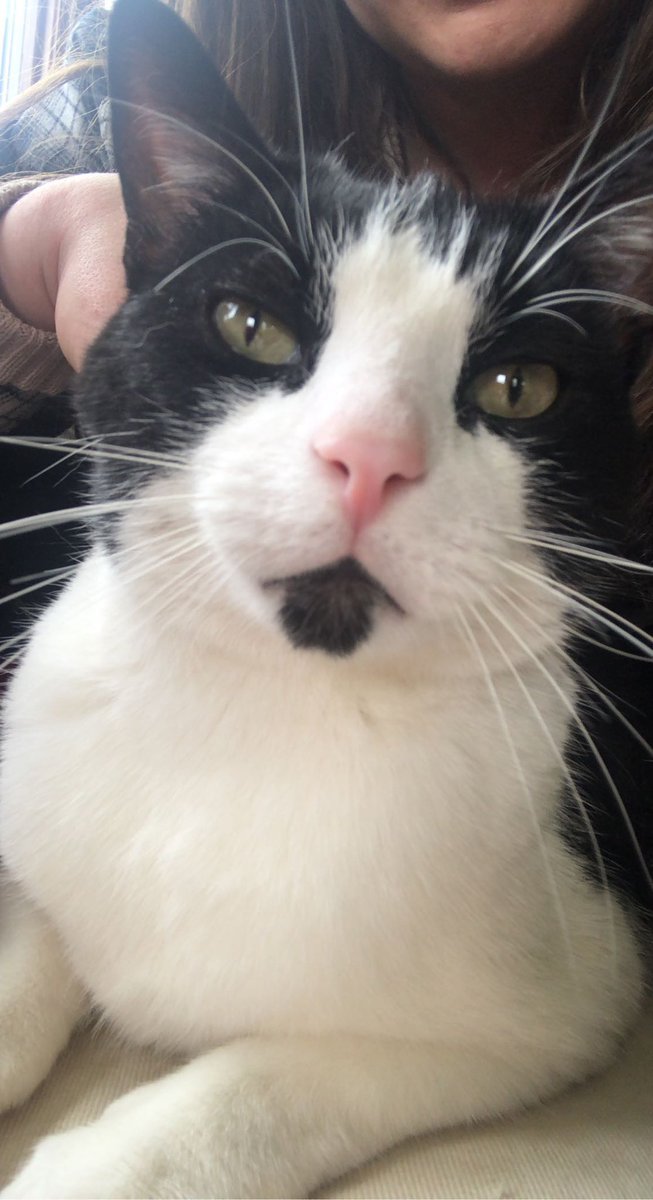 helkat333's tweet photo. @littlesiha Look at my son!!! https://t.co/9JC0OgaRFV