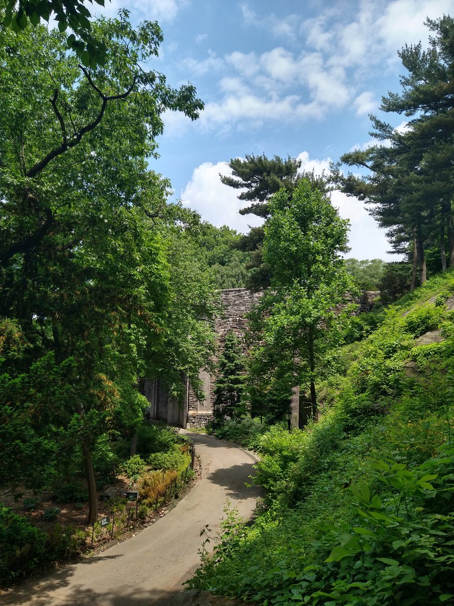 #photographyisart #landscapes