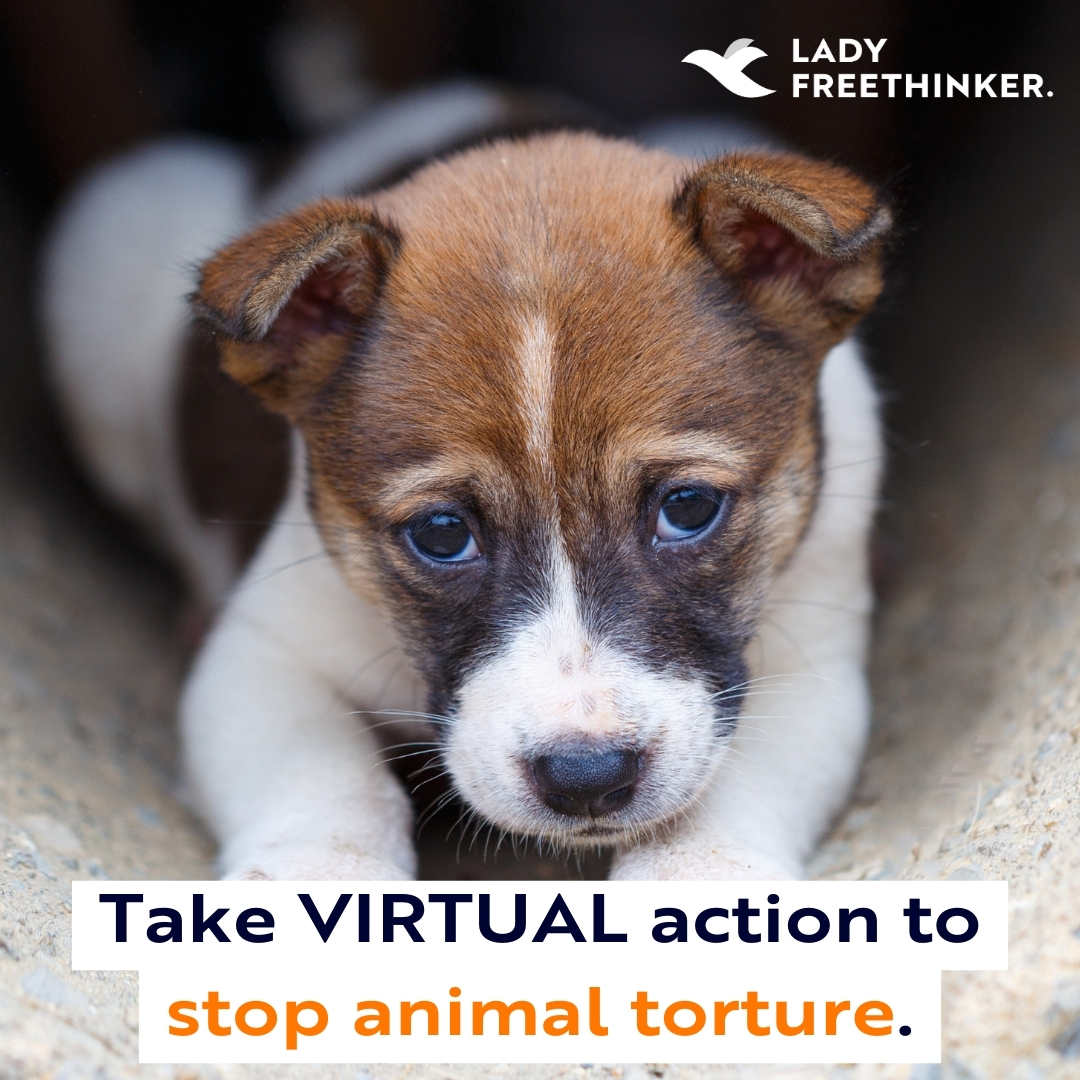 Facebook is failing to #TakeAction to STOP #animal torture groups from promoting animal cruelty.

On June 4th, while Lady Freethinker is demonstrating in-person at #Facebook headquarters, you can take virtual action to help #animals. VIRTUAL ACTIONS: facebook.com/events/9714033…