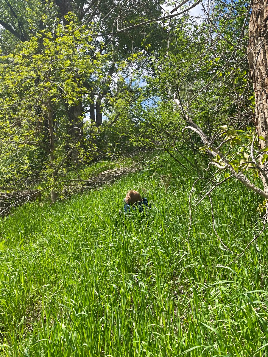 We had an amazing morning at Fish Creek Park. Some of our favourite moments were “smelling the flowers”, “seeing the goslings” and “sitting in the tall grass”