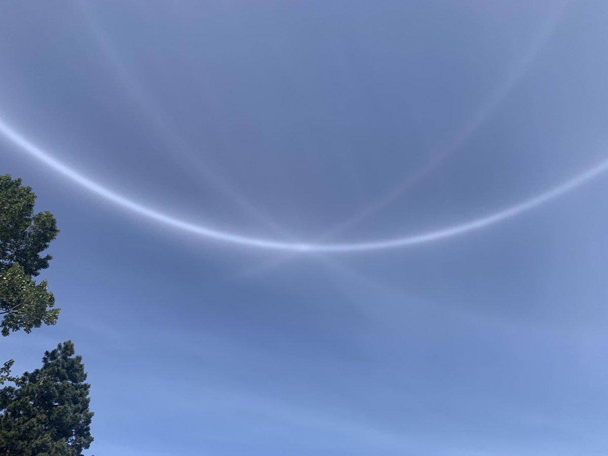 jVAGHA's tweet photo. Sun dog millionaire! https://t.co/6KGJDgJbMi