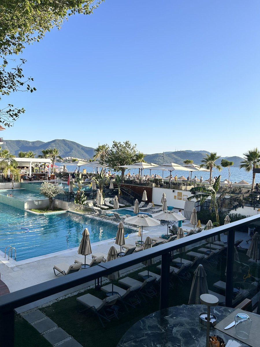 Jasonhints's tweet image. 费特希耶Sundia