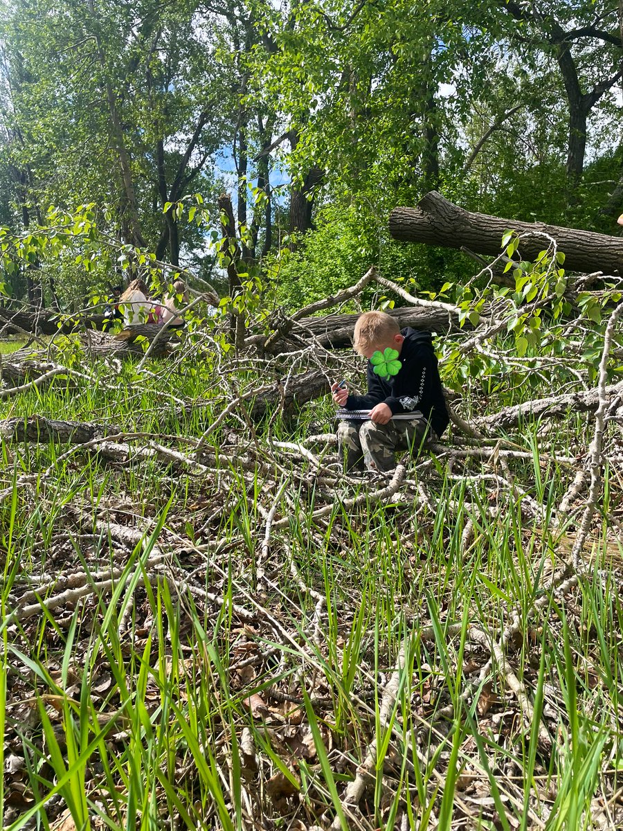 msrogstadsclass's tweet photo. We have loved coming to these sit spots this year. While Ms. Elzingas class is at Library School, we’ll be going back down to Fish Creek and spending time to learn outside! https://t.co/mQbbIZ403x