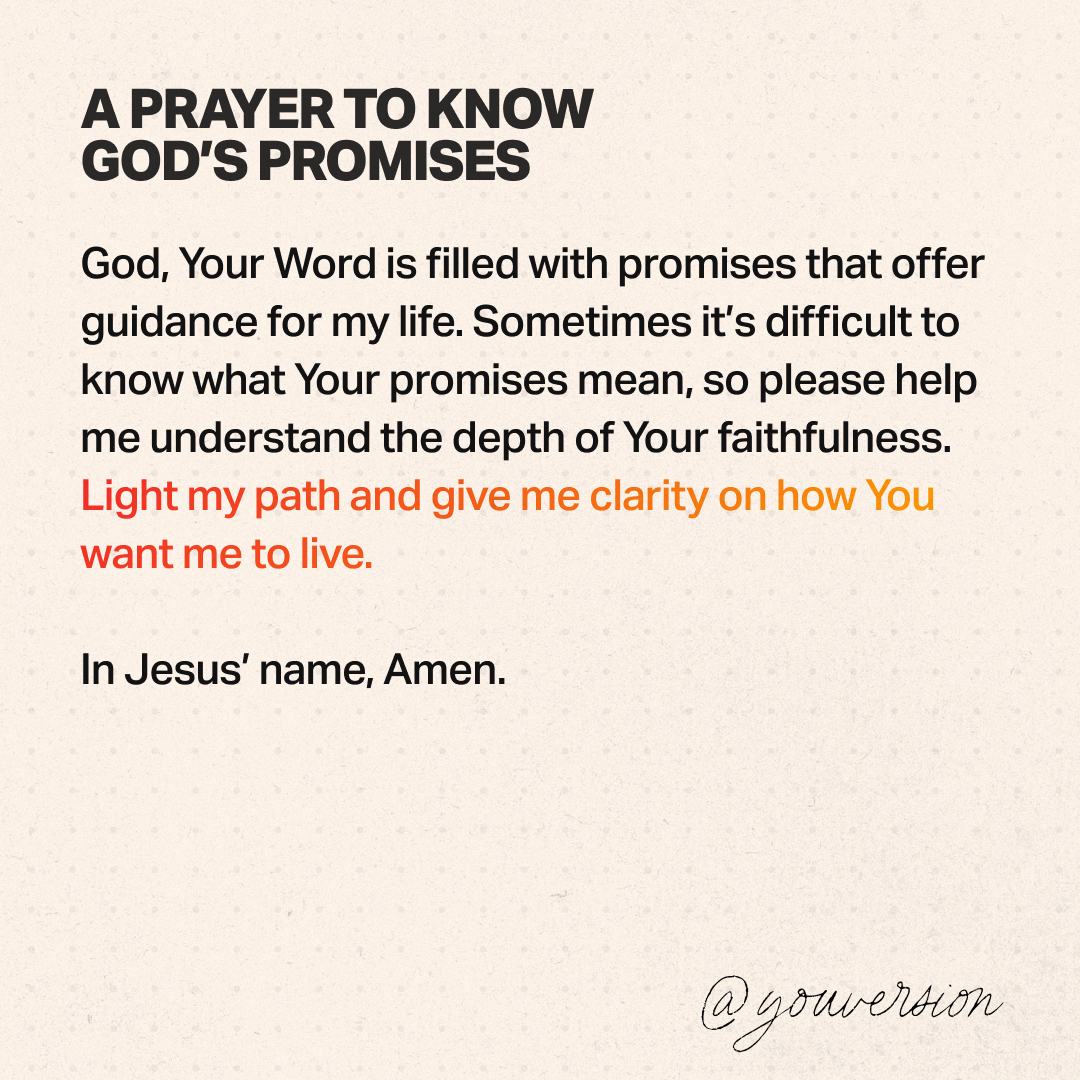 YouVersion Bible App tweet media