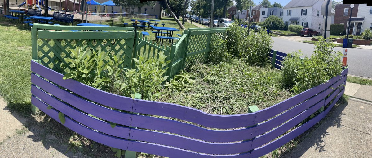 M. Thomas, Ed.D. tweet media