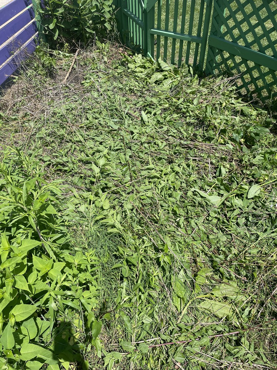 M. Thomas, Ed.D. tweet media