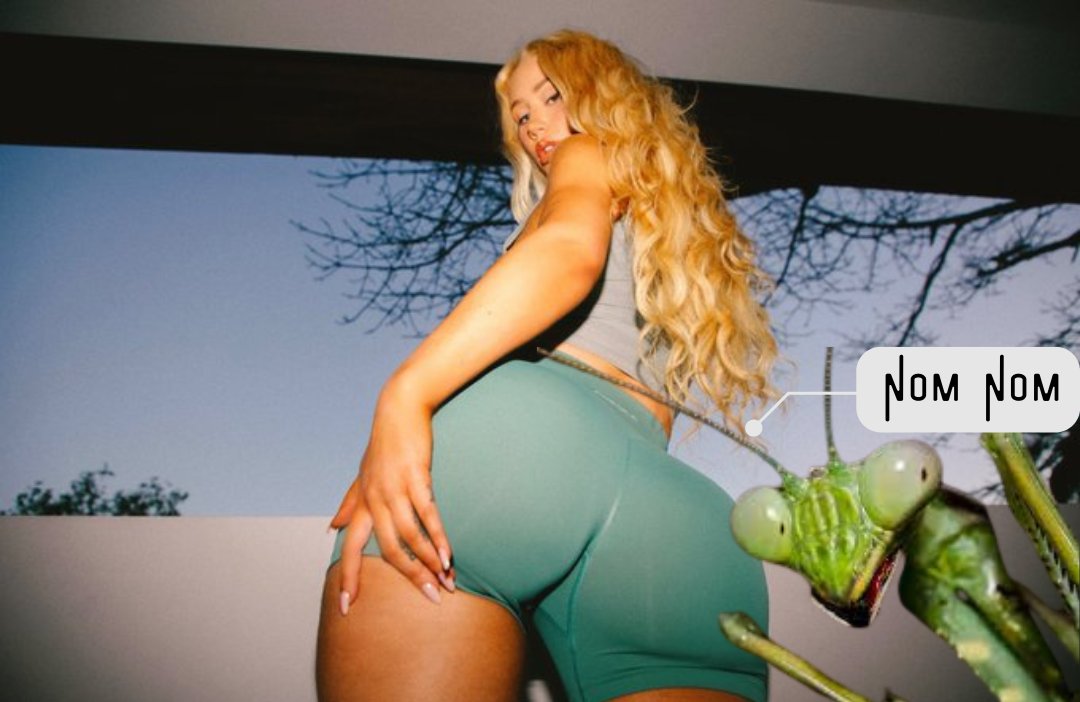 <a href="/IGGYAZALEA/">IGGY AZALEA</a> <a href="/IGGYAZALEA/">IGGY AZALEA</a>  $MOTHER $MANTIS has a nice ring to it.

@Mantis_onSOL  #MantisSommer  #MantisonSOL