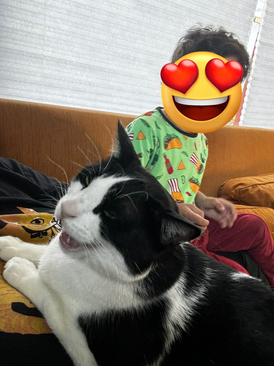 Jules-Pierre Meow 🍉 tweet media