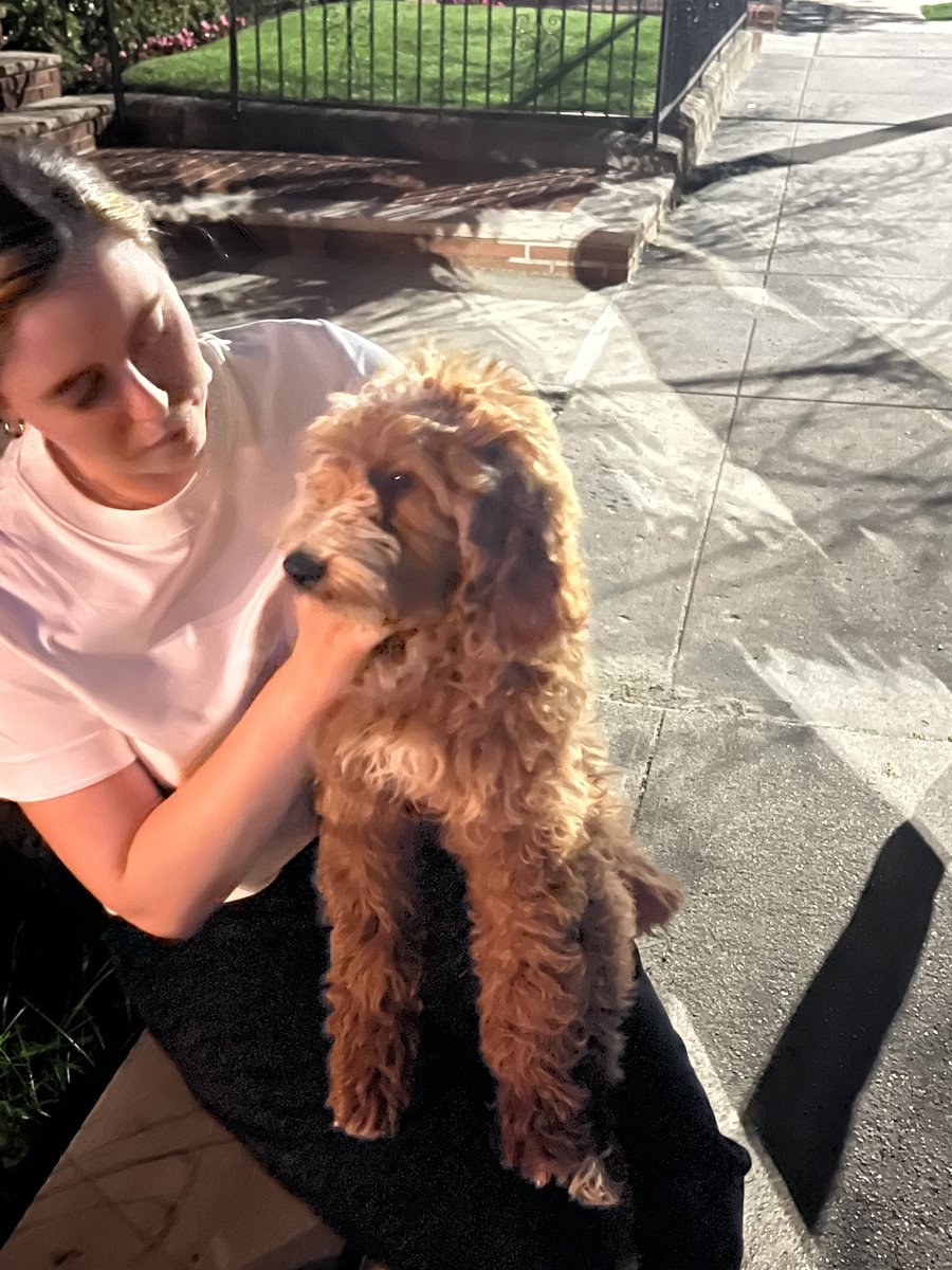 Matt Sudol tweet media