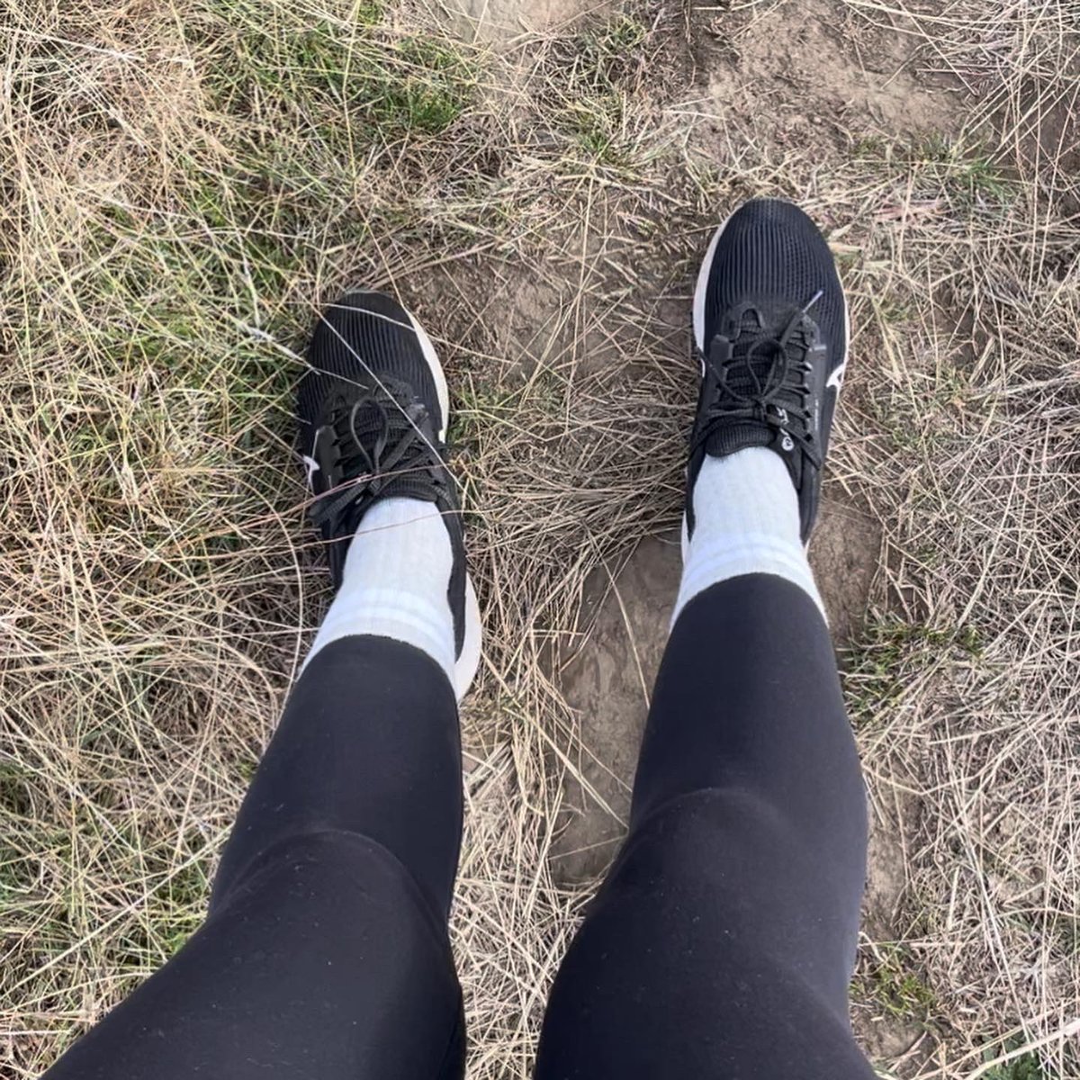 ssssshimasecret's tweet photo. Went on a long walk today - had to stop half way as my feet were hot and sweaty! ended up with a very good view 

#feet #feetinheels #soles #footfetish #prettyfeet #foot #footlove #sexyfeet #footworship #funfeet #wet #cleanfeet #lovelyfeet #hotfeet #feetfelish #sweatyfeet https://t.co/dgvApXqH9d
