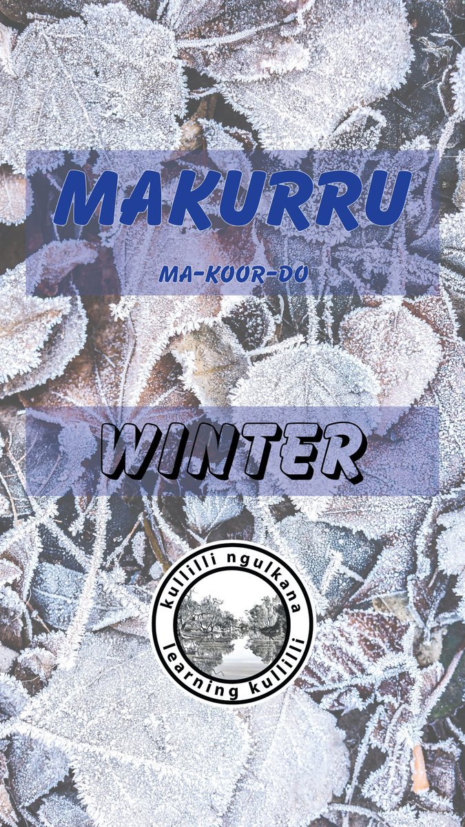 Today marks the beginning of makurru 🥶