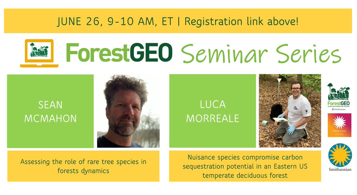 ForestGEO (@forestgeo) on Twitter photo You're invited to June's Virtual Seminar 💻 ft. Sean McMahon & <a href="/Luca_Morreale/">Luca Morreale</a> 🌳 Join us on Wednesday, June 26 at 9am ET. Register here: rb.gy/68sez4 You're invited to June's Virtual Seminar 💻 ft. Sean McMahon & <a href="/Luca_Morreale/">Luca Morreale</a> 🌳 Join us on Wednesday, June 26 at 9am ET. Register here: rb.gy/68sez4