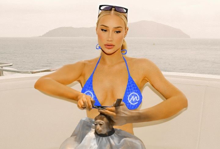 @IGGYAZALEA @CoinMarketCap mommy?